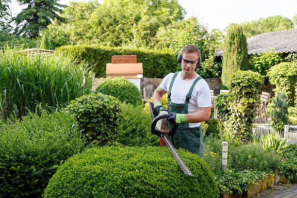 Best Pest Control for Lawns  in Forsyth, MO